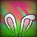 Casey Carman - Facebook
