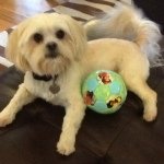 Casey - @casey_carman - Instagram
