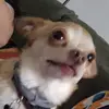 Casey Carson - @caseycarson6 - TikTok