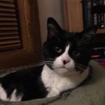 Casey Carson - @caseycarson643 - Instagram