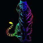Casey Carty - @casey.carty.940 - Instagram