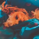 Casey Carty - @caseyandthedogs - Instagram