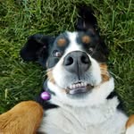 Casey Carver - @casey.carver.165 - Instagram