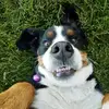 Casey Carver - @user20347644 - TikTok