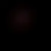 caseycase - @caseycase1 - TikTok