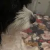 caseycase - @caseycase72 - TikTok