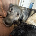 Casey Castleberry - @castleberry_2005 - Instagram