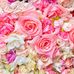 Casey Cate - Facebook