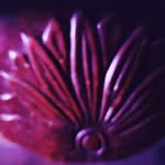 caseycates - @caseycates8 - Instagram