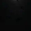 Casey Cathcart - @casey.cathcart4 - TikTok