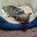 Kacey Cathcart - Facebook
