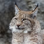 Casey - @casey_catt_ - Instagram