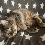 Casey Catt - Facebook