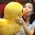 Casey Chan - @caseychan0909 - Instagram