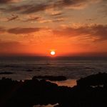 casey chamberlain - @_projectplanet - Instagram