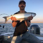Casey Chambers - @ccha222 - Instagram