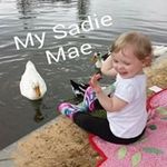Casey Chambers - @casey.chambers.9275 - Instagram