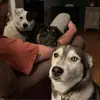 caseychaney07 - @caseychaney07 - TikTok