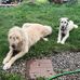 Casey Cheek - Facebook