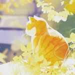 Casey Cheng - @caseycheng69 - Instagram