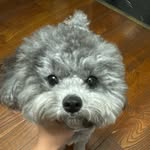 Casey Cheng - @csting517517 - Instagram