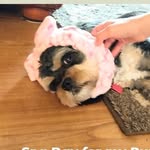 Casey Chewy - @casey_chewy - Instagram