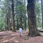 Casey - @caseychilds1 - Instagram