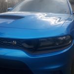 Casey KNine Childs - @casey.childs.948 - Instagram