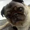 Casey Choate589 - @samishgirl - TikTok