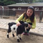 Casey Choi - @casey.choi.3 - Instagram