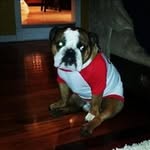 caseycisnerosis - @caseycisnerosis - Instagram
