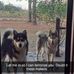 Casey Jake Clem - Facebook