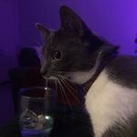 Luna Clinch-Case - @nathan.clinch - Instagram