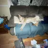 Clover Casey - @clover.casey - TikTok