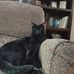 Casey Coburn - Facebook