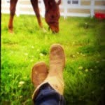 Casey Colson😊🐴 - @caseycountrygirl13 - Instagram
