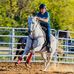 Casey Colwell Wingo - Facebook