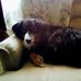 Casey Comstock - Facebook