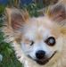 Casey Conklin - Facebook