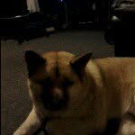 Casey Connell - @furyboyhasswag - Instagram