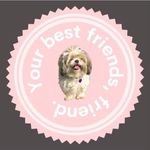 Casey Connolly - @yourbestfriends_friend21 - Instagram