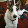 caseyconnolly22 - @caseyconnolly22 - TikTok