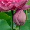 caseyjconti40254 - @caseyjconti40254 - TikTok