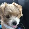 caseyconverse8 - @casey.converse7 - TikTok