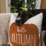 Casey Cooney - @coonis_maximus - Instagram