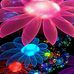 Casey Coots - Facebook