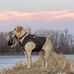 Casey Coots - Facebook