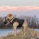 Casey Coots - @chcoots - Instagram