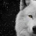 Casey Copus - Facebook