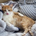Casey James Koger Corbett - @casey__corbett - Instagram